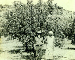 Jesse William and Ellen Caroline (Perry) Elliott